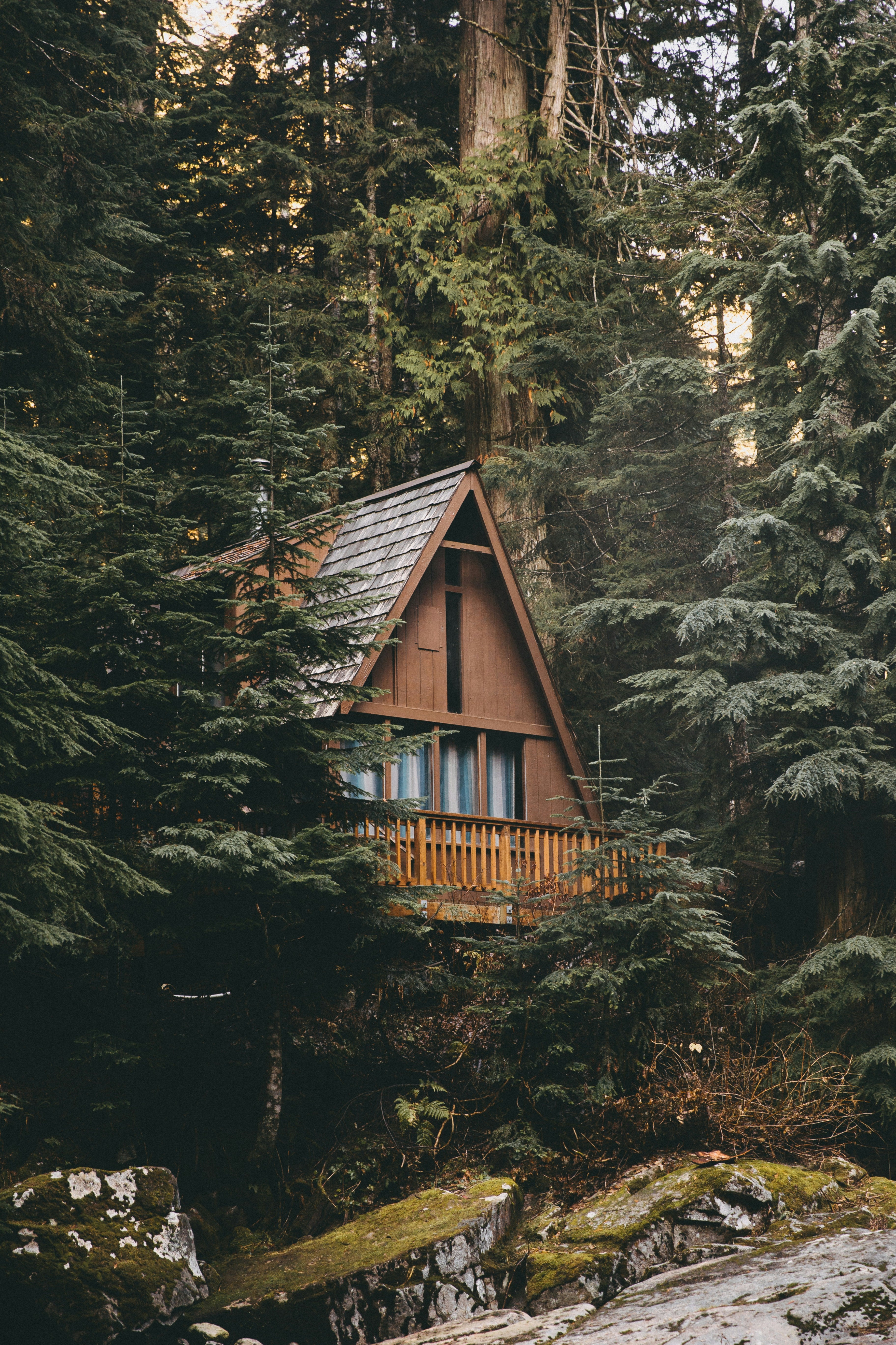 Cabin